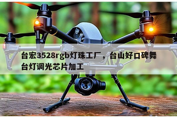 台宏3528rgb灯珠工厂，台山好口碑舞台灯调光芯片加工-第1张图片-led灯珠, 贴片led灯珠, 直插led灯珠, 大功率灯珠, 3528灯珠, led灯珠厂家广东台宏光电科技有限公司 服务热线400-689-8189