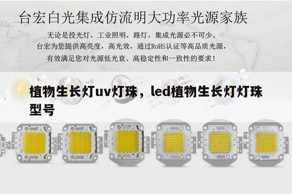 植物生长灯uv灯珠，led植物生长灯灯珠型号-第1张图片-led灯珠, 贴片led灯珠, 直插led灯珠, 大功率灯珠, 3528灯珠, led灯珠厂家广东台宏光电科技有限公司 服务热线400-689-8189