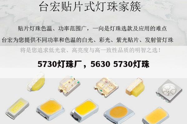 5730灯珠厂，5630 5730灯珠-第1张图片-led灯珠, 贴片led灯珠, 直插led灯珠, 大功率灯珠, 3528灯珠, led灯珠厂家广东台宏光电科技有限公司 服务热线400-689-8189