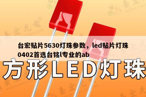台宏贴片5630灯珠参数，led贴片灯珠0402首选台铭l专业的ab-第1张图片-led灯珠, 贴片led灯珠, 直插led灯珠, 大功率灯珠, 3528灯珠, led灯珠厂家广东台宏光电科技有限公司 服务热线400-689-8189