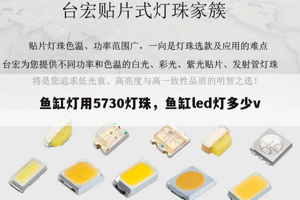 鱼缸灯用5730灯珠，鱼缸led灯多少v-第1张图片-led灯珠, 贴片led灯珠, 直插led灯珠, 大功率灯珠, 3528灯珠, led灯珠厂家广东台宏光电科技有限公司 服务热线400-689-8189