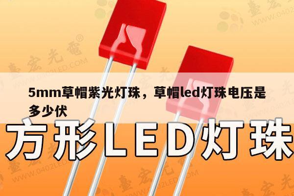 5mm草帽紫光灯珠，草帽led灯珠电压是多少伏-第1张图片-led灯珠, 贴片led灯珠, 直插led灯珠, 大功率灯珠, 3528灯珠, led灯珠厂家广东台宏光电科技有限公司 服务热线400-689-8189