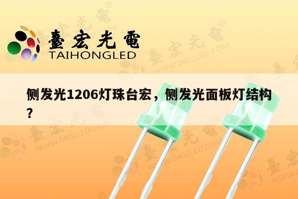 侧发光1206灯珠台宏，侧发光面板灯结构？-第1张图片-led灯珠, 贴片led灯珠, 直插led灯珠, 大功率灯珠, 3528灯珠, led灯珠厂家广东台宏光电科技有限公司 服务热线400-689-8189
