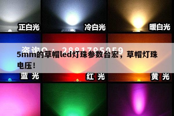5mm的草帽led灯珠参数台宏,草帽灯珠电压!-第1张图片-led灯珠, 贴片led灯珠, 直插led灯珠, 大功率灯珠, 3528灯珠, led灯珠厂家广东台宏光电科技有限公司 服务热线400-689-8189 5mm的草帽led灯珠参数台宏,草帽灯珠电压!-第1张图片-led灯珠, 贴片led灯珠, 直插led灯珠, 大功率灯珠, 3528灯珠, led灯珠厂家广东台宏光电科技有限公司 服务热线400-689-8189