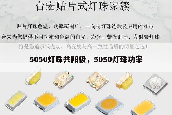 5050灯珠共阳极，5050灯珠功率-第1张图片-led灯珠, 贴片led灯珠, 直插led灯珠, 大功率灯珠, 3528灯珠, led灯珠厂家广东台宏光电科技有限公司 服务热线400-689-8189