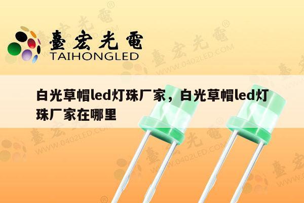 白光草帽led灯珠厂家,白光草帽led灯珠厂家在哪里-第1张图片-led灯珠, 贴片led灯珠, 直插led灯珠, 大功率灯珠, 3528灯珠, led灯珠厂家广东台宏光电科技有限公司 服务热线400-689-8189 白光草帽led灯珠厂家,白光草帽led灯珠厂家在哪里-第1张图片-led灯珠, 贴片led灯珠, 直插led灯珠, 大功率灯珠, 3528灯珠, led灯珠厂家广东台宏光电科技有限公司 服务热线400-689-8189