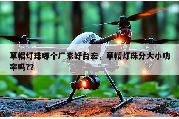 草帽灯珠哪个厂家好台宏，草帽灯珠分大小功率吗?？-第1张图片-led灯珠, 贴片led灯珠, 直插led灯珠, 大功率灯珠, 3528灯珠, led灯珠厂家广东台宏光电科技有限公司 服务热线400-689-8189