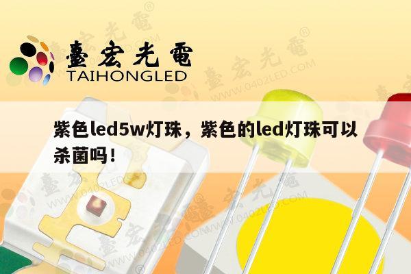 紫色led5w灯珠，紫色的led灯珠可以杀菌吗！-第1张图片-led灯珠, 贴片led灯珠, 直插led灯珠, 大功率灯珠, 3528灯珠, led灯珠厂家广东台宏光电科技有限公司 服务热线400-689-8189