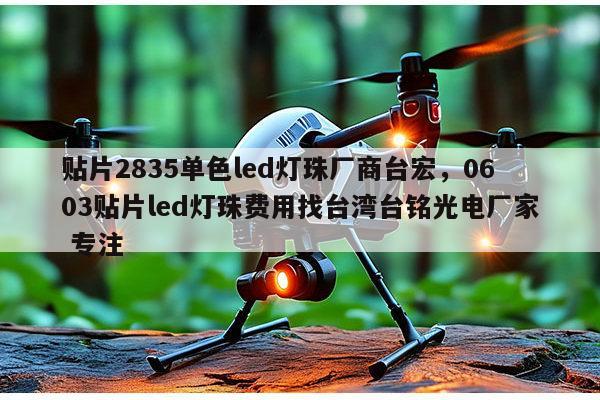 贴片2835单色led灯珠厂商台宏，0603贴片led灯珠费用找台湾台铭光电厂家 专注-第1张图片-led灯珠, 贴片led灯珠, 直插led灯珠, 大功率灯珠, 3528灯珠, led灯珠厂家广东台宏光电科技有限公司 服务热线400-689-8189