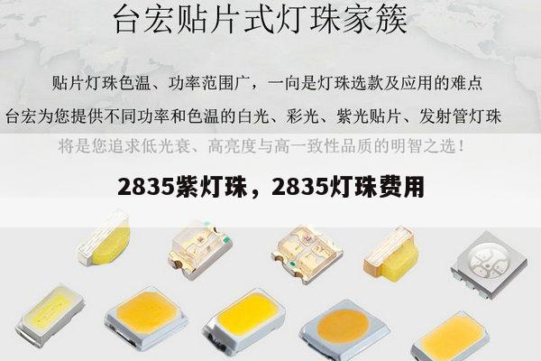 2835紫灯珠，2835灯珠费用-第1张图片-led灯珠, 贴片led灯珠, 直插led灯珠, 大功率灯珠, 3528灯珠, led灯珠厂家广东台宏光电科技有限公司 服务热线400-689-8189