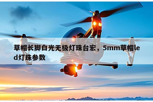 草帽长脚白光无极灯珠台宏,5mm草帽led灯珠参数-第1张图片-led灯珠, 贴片led灯珠, 直插led灯珠, 大功率灯珠, 3528灯珠, led灯珠厂家广东台宏光电科技有限公司 服务热线400-689-8189 草帽长脚白光无极灯珠台宏,5mm草帽led灯珠参数-第1张图片-led灯珠, 贴片led灯珠, 直插led灯珠, 大功率灯珠, 3528灯珠, led灯珠厂家广东台宏光电科技有限公司 服务热线400-689-8189