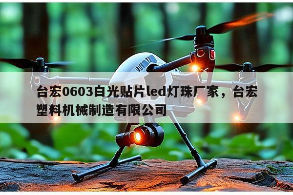 台宏0603白光贴片led灯珠厂家，台宏塑料机械制造有限公司-第1张图片-led灯珠, 贴片led灯珠, 直插led灯珠, 大功率灯珠, 3528灯珠, led灯珠厂家广东台宏光电科技有限公司 服务热线400-689-8189