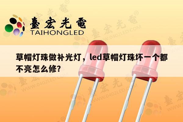 草帽灯珠做补光灯,led草帽灯珠坏一个都不亮怎么修?-第1张图片-led灯珠, 贴片led灯珠, 直插led灯珠, 大功率灯珠, 3528灯珠, led灯珠厂家广东台宏光电科技有限公司 服务热线400-689-8189 草帽灯珠做补光灯,led草帽灯珠坏一个都不亮怎么修?-第1张图片-led灯珠, 贴片led灯珠, 直插led灯珠, 大功率灯珠, 3528灯珠, led灯珠厂家广东台宏光电科技有限公司 服务热线400-689-8189