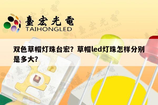 双色草帽灯珠台宏?草帽led灯珠怎样分别是多大?-第1张图片-led灯珠, 贴片led灯珠, 直插led灯珠, 大功率灯珠, 3528灯珠, led灯珠厂家广东台宏光电科技有限公司 服务热线400-689-8189 双色草帽灯珠台宏?草帽led灯珠怎样分别是多大?-第1张图片-led灯珠, 贴片led灯珠, 直插led灯珠, 大功率灯珠, 3528灯珠, led灯珠厂家广东台宏光电科技有限公司 服务热线400-689-8189