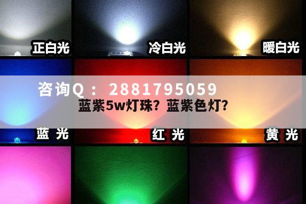 蓝紫5w灯珠?蓝紫色灯?-第1张图片-led灯珠, 贴片led灯珠, 直插led灯珠, 大功率灯珠, 3528灯珠, led灯珠厂家广东台宏光电科技有限公司 服务热线400-689-8189 蓝紫5w灯珠?蓝紫色灯?-第1张图片-led灯珠, 贴片led灯珠, 直插led灯珠, 大功率灯珠, 3528灯珠, led灯珠厂家广东台宏光电科技有限公司 服务热线400-689-8189