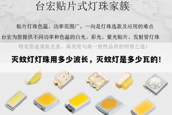 灭蚊灯灯珠用多少波长，灭蚊灯是多少瓦的！-第1张图片-led灯珠, 贴片led灯珠, 直插led灯珠, 大功率灯珠, 3528灯珠, led灯珠厂家广东台宏光电科技有限公司 服务热线400-689-8189
