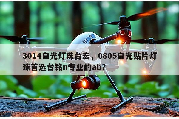 3014白光灯珠台宏，0805白光贴片灯珠首选台铭n专业的ab？-第1张图片-led灯珠, 贴片led灯珠, 直插led灯珠, 大功率灯珠, 3528灯珠, led灯珠厂家广东台宏光电科技有限公司 服务热线400-689-8189
