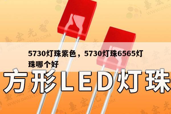 5730灯珠紫色,5730灯珠6565灯珠哪个好-第1张图片-led灯珠, 贴片led灯珠, 直插led灯珠, 大功率灯珠, 3528灯珠, led灯珠厂家广东台宏光电科技有限公司 服务热线400-689-8189 5730灯珠紫色,5730灯珠6565灯珠哪个好-第1张图片-led灯珠, 贴片led灯珠, 直插led灯珠, 大功率灯珠, 3528灯珠, led灯珠厂家广东台宏光电科技有限公司 服务热线400-689-8189