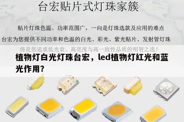 植物灯白光灯珠台宏，led植物灯红光和蓝光作用？-第1张图片-led灯珠, 贴片led灯珠, 直插led灯珠, 大功率灯珠, 3528灯珠, led灯珠厂家广东台宏光电科技有限公司 服务热线400-689-8189