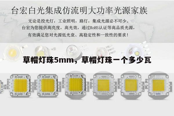 草帽灯珠5mm,草帽灯珠一个多少瓦-第1张图片-led灯珠, 贴片led灯珠, 直插led灯珠, 大功率灯珠, 3528灯珠, led灯珠厂家广东台宏光电科技有限公司 服务热线400-689-8189 草帽灯珠5mm,草帽灯珠一个多少瓦-第1张图片-led灯珠, 贴片led灯珠, 直插led灯珠, 大功率灯珠, 3528灯珠, led灯珠厂家广东台宏光电科技有限公司 服务热线400-689-8189