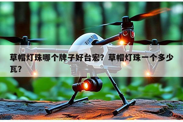 草帽灯珠哪个牌子好台宏?草帽灯珠一个多少瓦?-第1张图片-led灯珠, 贴片led灯珠, 直插led灯珠, 大功率灯珠, 3528灯珠, led灯珠厂家广东台宏光电科技有限公司 服务热线400-689-8189 草帽灯珠哪个牌子好台宏?草帽灯珠一个多少瓦?-第1张图片-led灯珠, 贴片led灯珠, 直插led灯珠, 大功率灯珠, 3528灯珠, led灯珠厂家广东台宏光电科技有限公司 服务热线400-689-8189