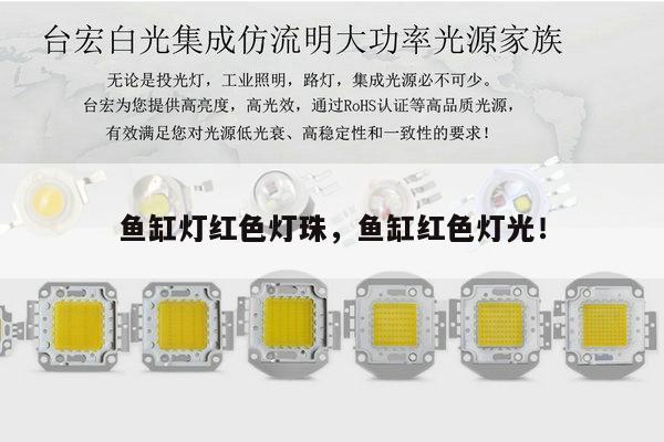 鱼缸灯红色灯珠,鱼缸红色灯光!-第1张图片-led灯珠, 贴片led灯珠, 直插led灯珠, 大功率灯珠, 3528灯珠, led灯珠厂家广东台宏光电科技有限公司 服务热线400-689-8189 鱼缸灯红色灯珠,鱼缸红色灯光!-第1张图片-led灯珠, 贴片led灯珠, 直插led灯珠, 大功率灯珠, 3528灯珠, led灯珠厂家广东台宏光电科技有限公司 服务热线400-689-8189