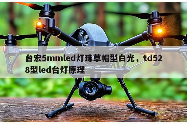 台宏5mmled灯珠草帽型白光,td528型led台灯原理-第1张图片-led灯珠, 贴片led灯珠, 直插led灯珠, 大功率灯珠, 3528灯珠, led灯珠厂家广东台宏光电科技有限公司 服务热线400-689-8189 台宏5mmled灯珠草帽型白光,td528型led台灯原理-第1张图片-led灯珠, 贴片led灯珠, 直插led灯珠, 大功率灯珠, 3528灯珠, led灯珠厂家广东台宏光电科技有限公司 服务热线400-689-8189