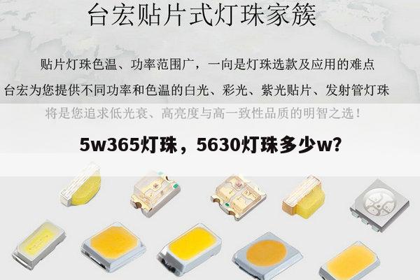 5w365灯珠,5630灯珠多少w?-第1张图片-led灯珠, 贴片led灯珠, 直插led灯珠, 大功率灯珠, 3528灯珠, led灯珠厂家广东台宏光电科技有限公司 服务热线400-689-8189 5w365灯珠,5630灯珠多少w?-第1张图片-led灯珠, 贴片led灯珠, 直插led灯珠, 大功率灯珠, 3528灯珠, led灯珠厂家广东台宏光电科技有限公司 服务热线400-689-8189