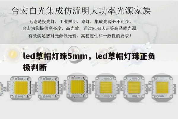 led草帽灯珠5mm，led草帽灯珠正负极判断-第1张图片-led灯珠, 贴片led灯珠, 直插led灯珠, 大功率灯珠, 3528灯珠, led灯珠厂家广东台宏光电科技有限公司 服务热线400-689-8189