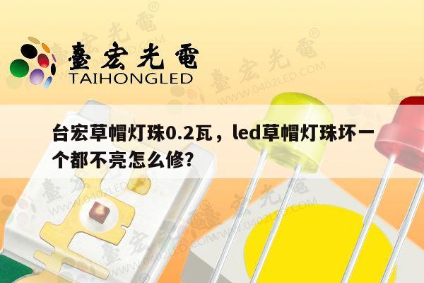台宏草帽灯珠0.2瓦，led草帽灯珠坏一个都不亮怎么修？-第1张图片-led灯珠, 贴片led灯珠, 直插led灯珠, 大功率灯珠, 3528灯珠, led灯珠厂家广东台宏光电科技有限公司 服务热线400-689-8189
