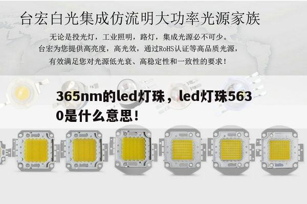 365nm的led灯珠,led灯珠5630是什么意思!-第1张图片-led灯珠, 贴片led灯珠, 直插led灯珠, 大功率灯珠, 3528灯珠, led灯珠厂家广东台宏光电科技有限公司 服务热线400-689-8189 365nm的led灯珠,led灯珠5630是什么意思!-第1张图片-led灯珠, 贴片led灯珠, 直插led灯珠, 大功率灯珠, 3528灯珠, led灯珠厂家广东台宏光电科技有限公司 服务热线400-689-8189