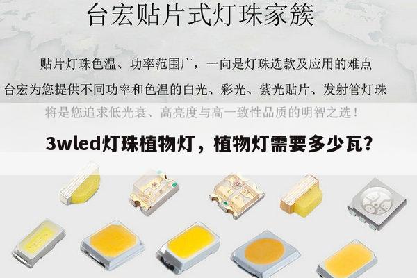 3wled灯珠植物灯，植物灯需要多少瓦？-第1张图片-led灯珠, 贴片led灯珠, 直插led灯珠, 大功率灯珠, 3528灯珠, led灯珠厂家广东台宏光电科技有限公司 服务热线400-689-8189