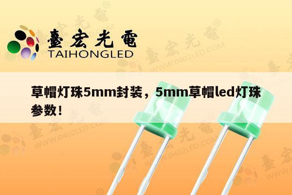 草帽灯珠5mm封装，5mm草帽led灯珠参数！-第1张图片-led灯珠, 贴片led灯珠, 直插led灯珠, 大功率灯珠, 3528灯珠, led灯珠厂家广东台宏光电科技有限公司 服务热线400-689-8189