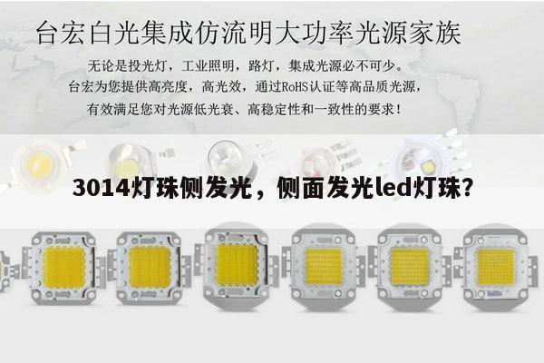 3014灯珠侧发光,侧面发光led灯珠?-第1张图片-led灯珠, 贴片led灯珠, 直插led灯珠, 大功率灯珠, 3528灯珠, led灯珠厂家广东台宏光电科技有限公司 服务热线400-689-8189 3014灯珠侧发光,侧面发光led灯珠?-第1张图片-led灯珠, 贴片led灯珠, 直插led灯珠, 大功率灯珠, 3528灯珠, led灯珠厂家广东台宏光电科技有限公司 服务热线400-689-8189