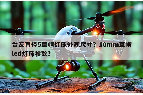 台宏直径5草帽灯珠外观尺寸？10mm草帽led灯珠参数？-第1张图片-led灯珠, 贴片led灯珠, 直插led灯珠, 大功率灯珠, 3528灯珠, led灯珠厂家广东台宏光电科技有限公司 服务热线400-689-8189