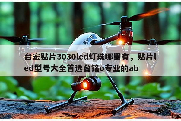 台宏贴片3030led灯珠哪里有，贴片led型号大全首选台铭o专业的ab-第1张图片-led灯珠, 贴片led灯珠, 直插led灯珠, 大功率灯珠, 3528灯珠, led灯珠厂家广东台宏光电科技有限公司 服务热线400-689-8189