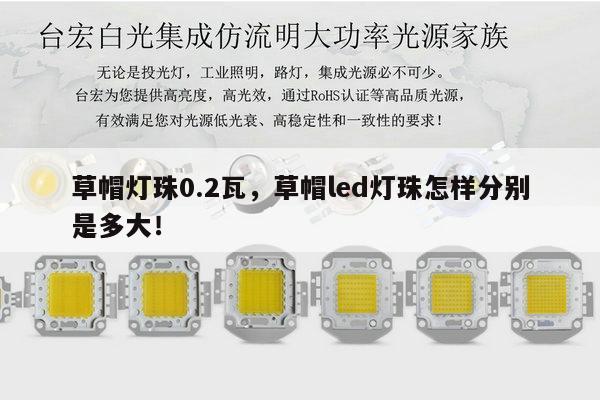 草帽灯珠0.2瓦,草帽led灯珠怎样分别是多大!-第1张图片-led灯珠, 贴片led灯珠, 直插led灯珠, 大功率灯珠, 3528灯珠, led灯珠厂家广东台宏光电科技有限公司 服务热线400-689-8189 草帽灯珠0.2瓦,草帽led灯珠怎样分别是多大!-第1张图片-led灯珠, 贴片led灯珠, 直插led灯珠, 大功率灯珠, 3528灯珠, led灯珠厂家广东台宏光电科技有限公司 服务热线400-689-8189