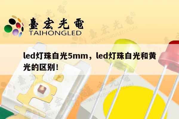 led灯珠白光5mm,led灯珠白光和黄光的区别!-第1张图片-led灯珠, 贴片led灯珠, 直插led灯珠, 大功率灯珠, 3528灯珠, led灯珠厂家广东台宏光电科技有限公司 服务热线400-689-8189 led灯珠白光5mm,led灯珠白光和黄光的区别!-第1张图片-led灯珠, 贴片led灯珠, 直插led灯珠, 大功率灯珠, 3528灯珠, led灯珠厂家广东台宏光电科技有限公司 服务热线400-689-8189