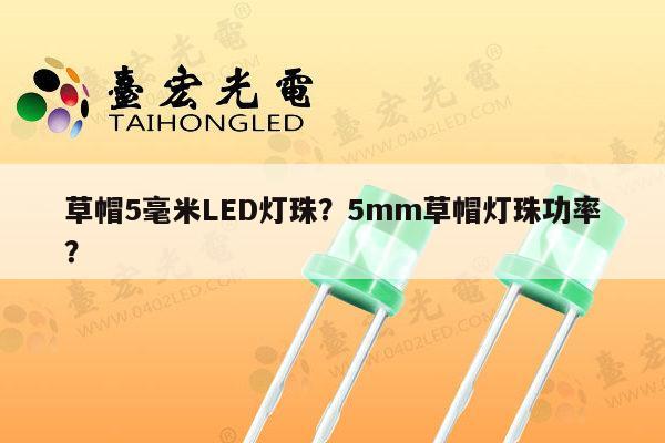草帽5毫米LED灯珠？5mm草帽灯珠功率？-第1张图片-led灯珠, 贴片led灯珠, 直插led灯珠, 大功率灯珠, 3528灯珠, led灯珠厂家广东台宏光电科技有限公司 服务热线400-689-8189