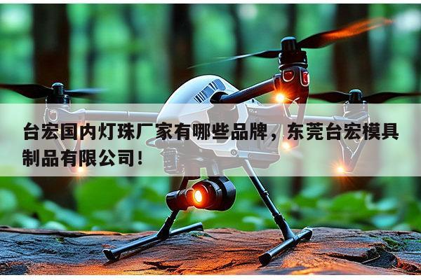 台宏国内灯珠厂家有哪些品牌，东莞台宏模具制品有限公司！-第1张图片-led灯珠, 贴片led灯珠, 直插led灯珠, 大功率灯珠, 3528灯珠, led灯珠厂家广东台宏光电科技有限公司 服务热线400-689-8189