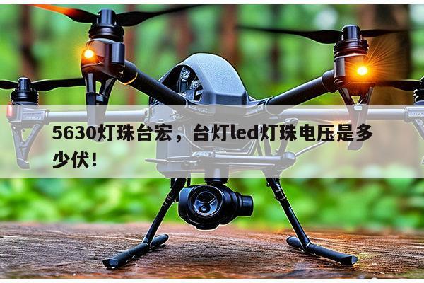 5630灯珠台宏,台灯led灯珠电压是多少伏!-第1张图片-led灯珠, 贴片led灯珠, 直插led灯珠, 大功率灯珠, 3528灯珠, led灯珠厂家广东台宏光电科技有限公司 服务热线400-689-8189 5630灯珠台宏,台灯led灯珠电压是多少伏!-第1张图片-led灯珠, 贴片led灯珠, 直插led灯珠, 大功率灯珠, 3528灯珠, led灯珠厂家广东台宏光电科技有限公司 服务热线400-689-8189