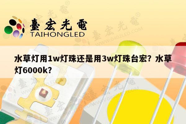 水草灯用1w灯珠还是用3w灯珠台宏?水草灯6000k?-第1张图片-led灯珠, 贴片led灯珠, 直插led灯珠, 大功率灯珠, 3528灯珠, led灯珠厂家广东台宏光电科技有限公司 服务热线400-689-8189 水草灯用1w灯珠还是用3w灯珠台宏?水草灯6000k?-第1张图片-led灯珠, 贴片led灯珠, 直插led灯珠, 大功率灯珠, 3528灯珠, led灯珠厂家广东台宏光电科技有限公司 服务热线400-689-8189