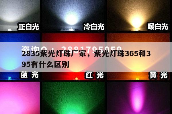 2835紫光灯珠厂家,紫光灯珠365和395有什么区别-第1张图片-led灯珠, 贴片led灯珠, 直插led灯珠, 大功率灯珠, 3528灯珠, led灯珠厂家广东台宏光电科技有限公司 服务热线400-689-8189 2835紫光灯珠厂家,紫光灯珠365和395有什么区别-第1张图片-led灯珠, 贴片led灯珠, 直插led灯珠, 大功率灯珠, 3528灯珠, led灯珠厂家广东台宏光电科技有限公司 服务热线400-689-8189