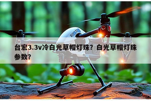 台宏3.3v冷白光草帽灯珠?白光草帽灯珠参数?-第1张图片-led灯珠, 贴片led灯珠, 直插led灯珠, 大功率灯珠, 3528灯珠, led灯珠厂家广东台宏光电科技有限公司 服务热线400-689-8189 台宏3.3v冷白光草帽灯珠?白光草帽灯珠参数?-第1张图片-led灯珠, 贴片led灯珠, 直插led灯珠, 大功率灯珠, 3528灯珠, led灯珠厂家广东台宏光电科技有限公司 服务热线400-689-8189