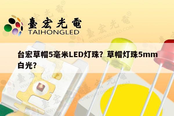 台宏草帽5毫米LED灯珠?草帽灯珠5mm白光?-第1张图片-led灯珠, 贴片led灯珠, 直插led灯珠, 大功率灯珠, 3528灯珠, led灯珠厂家广东台宏光电科技有限公司 服务热线400-689-8189 台宏草帽5毫米LED灯珠?草帽灯珠5mm白光?-第1张图片-led灯珠, 贴片led灯珠, 直插led灯珠, 大功率灯珠, 3528灯珠, led灯珠厂家广东台宏光电科技有限公司 服务热线400-689-8189