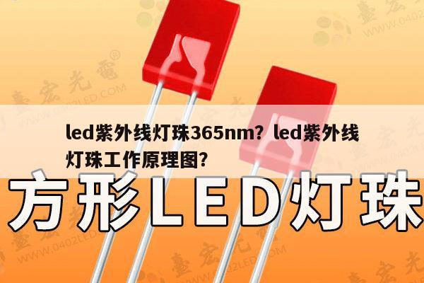 led紫外线灯珠365nm?led紫外线灯珠工作原理图?-第1张图片-led灯珠, 贴片led灯珠, 直插led灯珠, 大功率灯珠, 3528灯珠, led灯珠厂家广东台宏光电科技有限公司 服务热线400-689-8189 led紫外线灯珠365nm?led紫外线灯珠工作原理图?-第1张图片-led灯珠, 贴片led灯珠, 直插led灯珠, 大功率灯珠, 3528灯珠, led灯珠厂家广东台宏光电科技有限公司 服务热线400-689-8189
