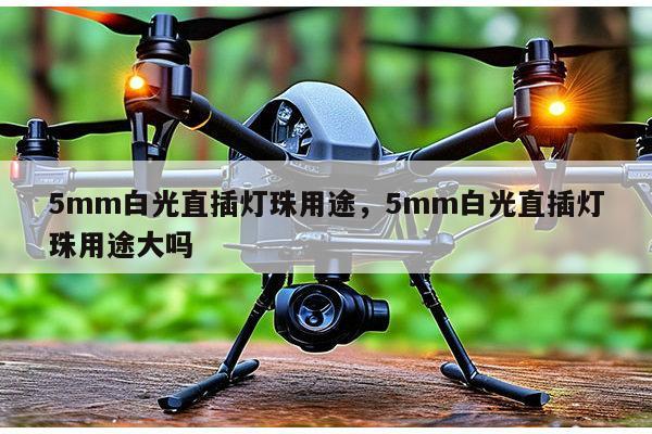 5mm白光直插灯珠用途,5mm白光直插灯珠用途大吗-第1张图片-led灯珠, 贴片led灯珠, 直插led灯珠, 大功率灯珠, 3528灯珠, led灯珠厂家广东台宏光电科技有限公司 服务热线400-689-8189 5mm白光直插灯珠用途,5mm白光直插灯珠用途大吗-第1张图片-led灯珠, 贴片led灯珠, 直插led灯珠, 大功率灯珠, 3528灯珠, led灯珠厂家广东台宏光电科技有限公司 服务热线400-689-8189