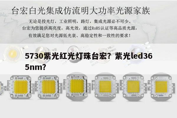 5730紫光红光灯珠台宏？紫光led365nm？-第1张图片-led灯珠, 贴片led灯珠, 直插led灯珠, 大功率灯珠, 3528灯珠, led灯珠厂家广东台宏光电科技有限公司 服务热线400-689-8189