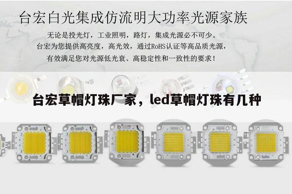台宏草帽灯珠厂家,led草帽灯珠有几种-第1张图片-led灯珠, 贴片led灯珠, 直插led灯珠, 大功率灯珠, 3528灯珠, led灯珠厂家广东台宏光电科技有限公司 服务热线400-689-8189 台宏草帽灯珠厂家,led草帽灯珠有几种-第1张图片-led灯珠, 贴片led灯珠, 直插led灯珠, 大功率灯珠, 3528灯珠, led灯珠厂家广东台宏光电科技有限公司 服务热线400-689-8189