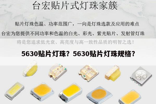 5630贴片灯珠?5630贴片灯珠规格?-第1张图片-led灯珠, 贴片led灯珠, 直插led灯珠, 大功率灯珠, 3528灯珠, led灯珠厂家广东台宏光电科技有限公司 服务热线400-689-8189 5630贴片灯珠?5630贴片灯珠规格?-第1张图片-led灯珠, 贴片led灯珠, 直插led灯珠, 大功率灯珠, 3528灯珠, led灯珠厂家广东台宏光电科技有限公司 服务热线400-689-8189